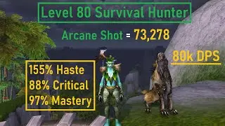 80 Survival Hunter Twink PVE - Mop 5.4 (Stormforge Mistblade)