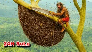 Solo 24 Hours Harvesting Wild Honey on a Giant Tree &mdash; 30kg Success