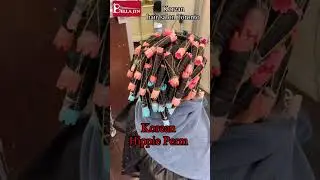 Toronto Korean Hippie Perm | Bella Jin hair