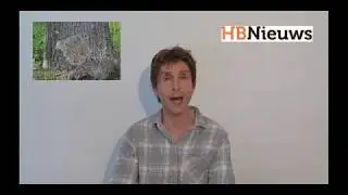 preview HBNieuws 2019 krant 12