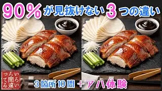 【料理で脳トレ】北京ダックの間違い探しとアハ体験で集中力と記憶力を楽しく鍛えよう！【認知症予防/老化予防/物忘れ/デイサービス/】