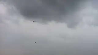My rubber powered 1912 Blackburn flying at Old Warden. 'Mayfly' 2018