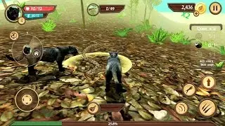 Wild Panther Sim 3D Android Gameplay HD