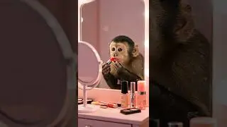 Adorable monkey 🐵 make up first Date #youtube #funny #monkey #shorts #video #aivideo #funny #fyp