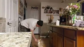 Он обожает кошачьи лакомства Greenies.