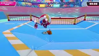Fall Guys tournament