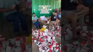 GASS LAGI 30 RBW💪🥰 ANDI SUFAR WALET BOMBANA 082290233678
