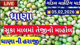 ગોંડલ નવા ધાણા ના બજાર ભાવ /ગોંડલ ધાણા ના ભાવ / નવા ધાણા નાબજાર ભાવ /05,02,2026dhaniya ke bajar bhav