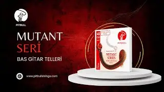Pitbull Strings Mutant Seri Extra Long Bas Gitar Telleri