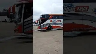 Bus Berlian Jaya ||| Josss Line Paten Purwodadi - Merak #shorts #youtubeshorts #busmania
