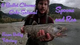 Lower mainland Coho Salmon are in! 2025