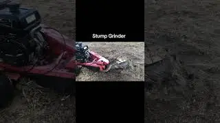 Stump grinder Home Depot rental ￼