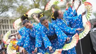 Get Ready for the Sakura Matsuri Japanese Street Festival's 60th Anniversary
