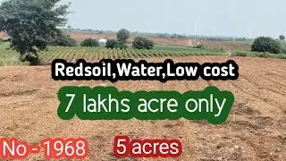 || 7 lakhs acre only|| Redsoil,Water, Low cost, Clear title || 5 acres||#Anantapur