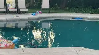 Sacramento Earthquake - Pool Video - 7/6/19 - Effects of Ridgecrest Earthquake