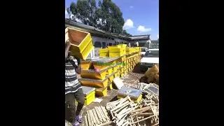 Recommended beehive construction for modern beekeeping ( langstroth kenya topbar etc) Uncle P
