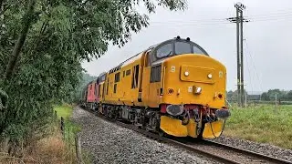 Borth, Morben, Poesnant Farm, Talerddig, Hanwood, Hadnall, Gresford, Bonc yr Hafod, Chirk (16/09/23)