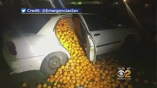 Cops In Spain Locate 9,000 Pounds Of Stolen Oranges