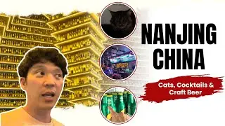 Nanjing, China: Ace Home Bar (Speakesy with Cats) and Niubeer World Craft Beer Museum (Beer Bar)