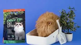 Why Choose Paco & Pepper Cat Litter?