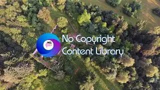 Ruin in the Forest | 4K Video | Copyright FREE