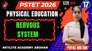 PSTET 2026 | PHYSICAL EDUCATION | DAY - 17 | NERVOUS SYSTEM | SKYLITE ACADEMY ABOHAR | 95809-20001