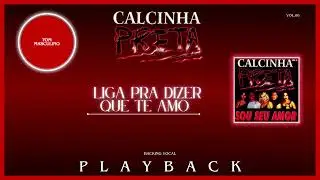 Calcinha Preta - Liguei Pra Dizer Que Te Amo (Backing Vocal) PLAYBACK TOM MASCULINO