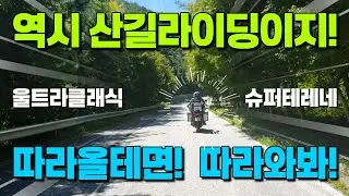 Ride | 역시 산길 라이딩이 제맛! 모토캠핑 2부 #할리데이비슨 #울트라클래식 #야마하모터싸이클 #슈퍼테레네
