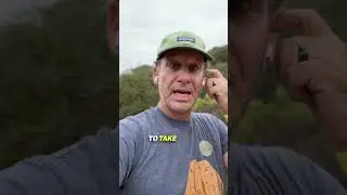 Do You Have Field Intelligence?