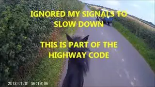 SLOW DOWN FOR HORSES!