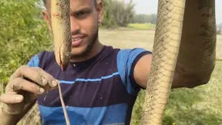 सांप! देशी ब्लॉग!! Rurals Indian daily video@ruralsindian  #ruralsindianvlogs #ruralsindian #video 
