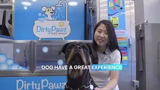 Dirty Pawz Dog Wash How To Video with Subtitles 