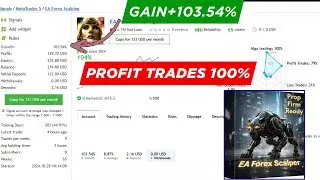EA Forex Scalping MT4 | Smart Auto Scalping with Low Drawdown