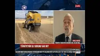 Su Hakkı Nedir? Türkiye'de Su Sorunu Var mı?
