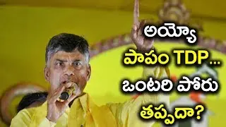 TDP to Contest Alone in 2019 Elections | Oneindia Telugu