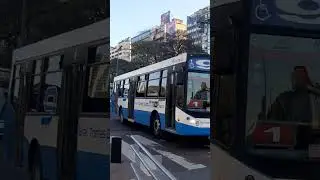 Linea 9 int. 9031 (Distinto)
