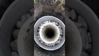 Dog Septic System