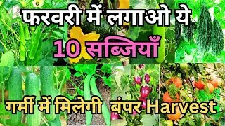 फरवरी में ये सब्जियाँ जरूर लगाइए | Bumper Harvest Tips | Home Gardening