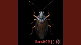 BatR0@ [BatRoach*]