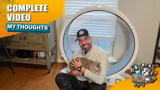 Cat Fitness Made Easy &ndash; Exercise Wheel with Pedometer Review!