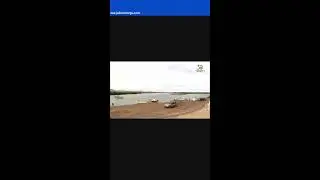Inicio de la temporada de avistamiento de ballena gris en Puerto Chale, BCS. 📱
