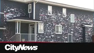 CityNews Connect: Can Calgary build hail proof homes?