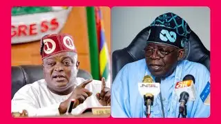 HAPPENING: OBASA&rsquo;S IMPEACHMENT SHAKES LAGOS POLITICS AS TINUBU REASSERT DOMINANCE AHEAD OF ELECTION