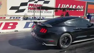 2015 mustang coyote s550 with a circle d