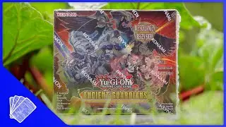 Ancient Guardians - Opening