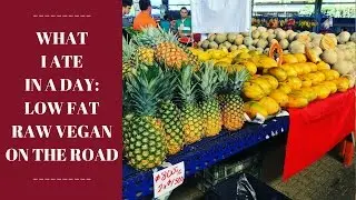 What I Ate in a Day: Low Fat Raw Vegan on the Road