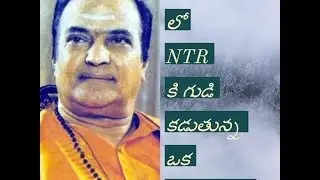 HARDCORE FAN BUILT A TEMPLE FOR NTR IN CHITTOOR