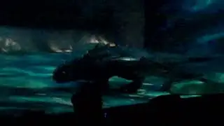 How To Train Your Dragon - Scenes from arena show - 2012