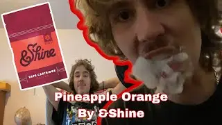 &Shine review(Pineapple Orange .5 cart) MN Medical