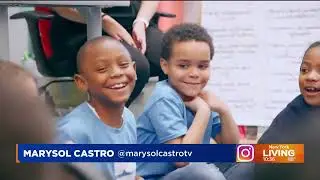 Bronx Arts on Pix 11